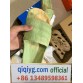 qiqiyg.com Official 2025 Hot Sale Wholesale Fashion Whatsapp:+8613489598361 QQ383